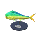 mahi-mahi model