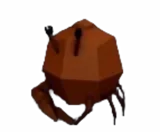 Crabby Coconut