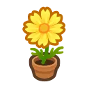 yellow-cosmos plant