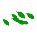 Leaves