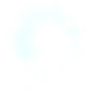 Snow Trail