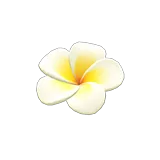 plumeria hairpin