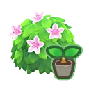 white-azalea start