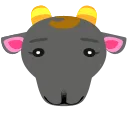Nan