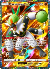 Passimian ex