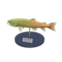 stringfish model