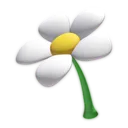 Big Flower