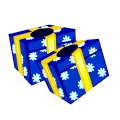 Gift Box Shoes