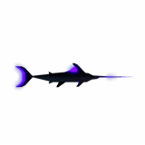 Obsidian Swordfish