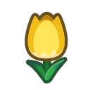 yellow tulips