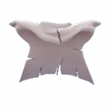 Destroyed Cape