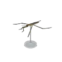 pondskater model