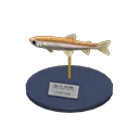 pond smelt model