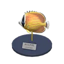butterfly fish model