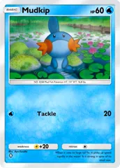 Mudkip