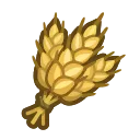 wheat