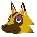Kyle