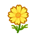 yellow cosmos