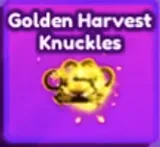 Golden Harvest Knuckles