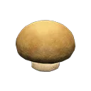 mush low stool