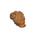 coprolite