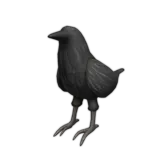 Crow