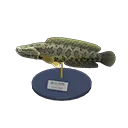 giant snakehead model