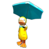 Raincoat Duck