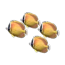 butterfly-fish model