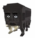 Rang Ring Reng Bus