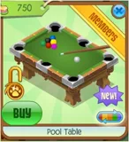 Pool Table