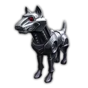 Robot Dog