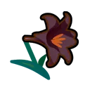 black lilies