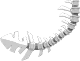 Bone Tail