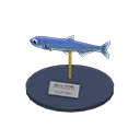 anchovy model