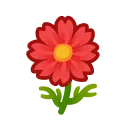 red cosmos