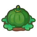 green-pumpkin plant