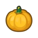 yellow pumpkin