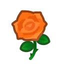 orange roses