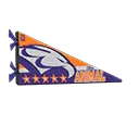 pennant