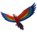 Motley Parrot