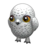 Snowy Owl