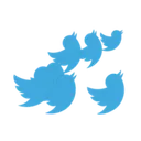 Twitter Birds