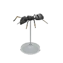 ant model