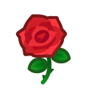red roses