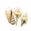 shell partition