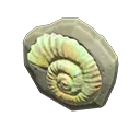 fossil doorplate