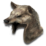 Wolf Head